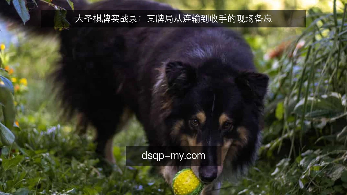 大圣棋牌实战录:某牌局从连输到收手的现场备忘